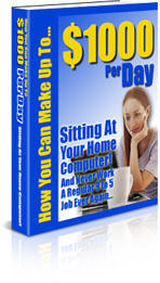 $1,000 A Day Sitting At Home On Your Computer eBook