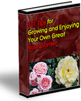 101 Tips For Growing and Enjoying Your Great Rose Garden eBook