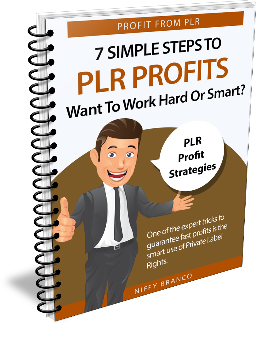 7 Simple Steps To PLR Profits Want Work Hard Or Smart eBook