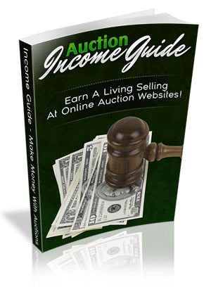 Auction Income Guide eBook