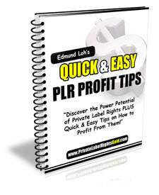 Quick and Easy PLR Profit Tips eBook