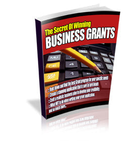 The Secrets Of Winning Business Grants eBook