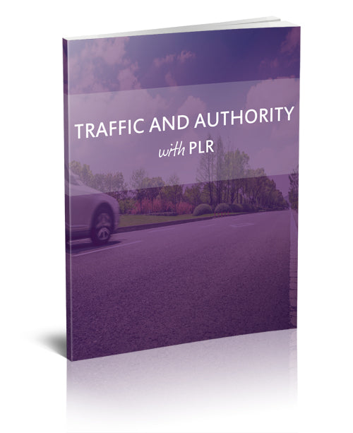 Traffic and Authority With PLR eBook