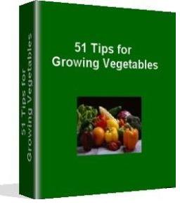 51 Tips For Growing A Vegetable Garden eBook