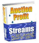 Auction Profits Streams eBook