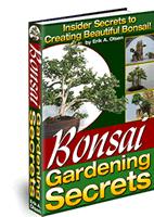 Bonsai Gardening Secrets eBook