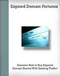 Expired Online Domain Fortunes eBook