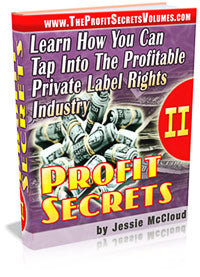 Profit Secrets II eBook