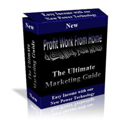 Profit Work From Home eBook