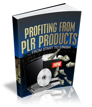 Profiting From PLR Products eBook