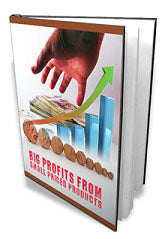 Profits From Small Priced Products eBook