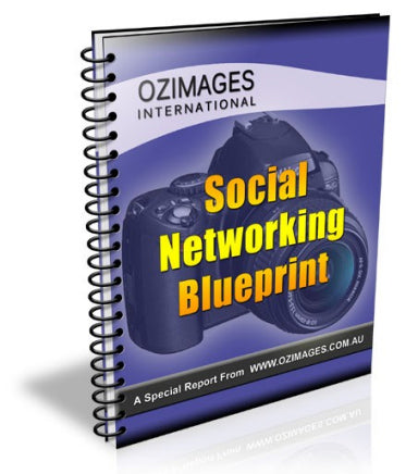 Social Networking Blueprint eBook