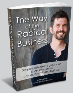 The Way of The Radical Business eBook