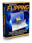 Website Flipping For Cash eBook